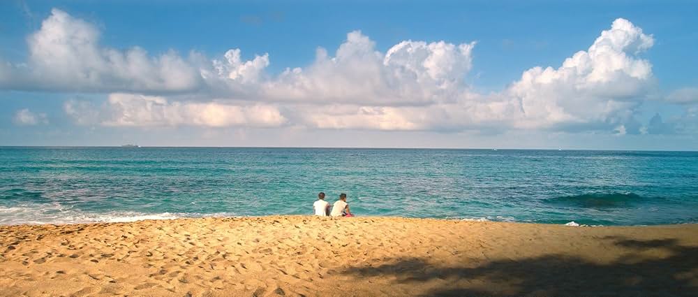 疾風スプリンターの画像