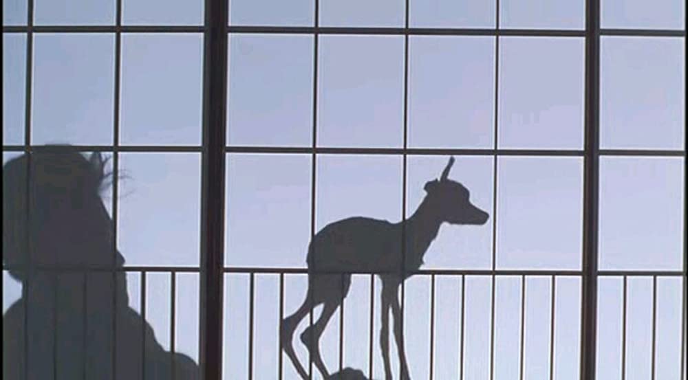 みんな〜やってるか！の画像