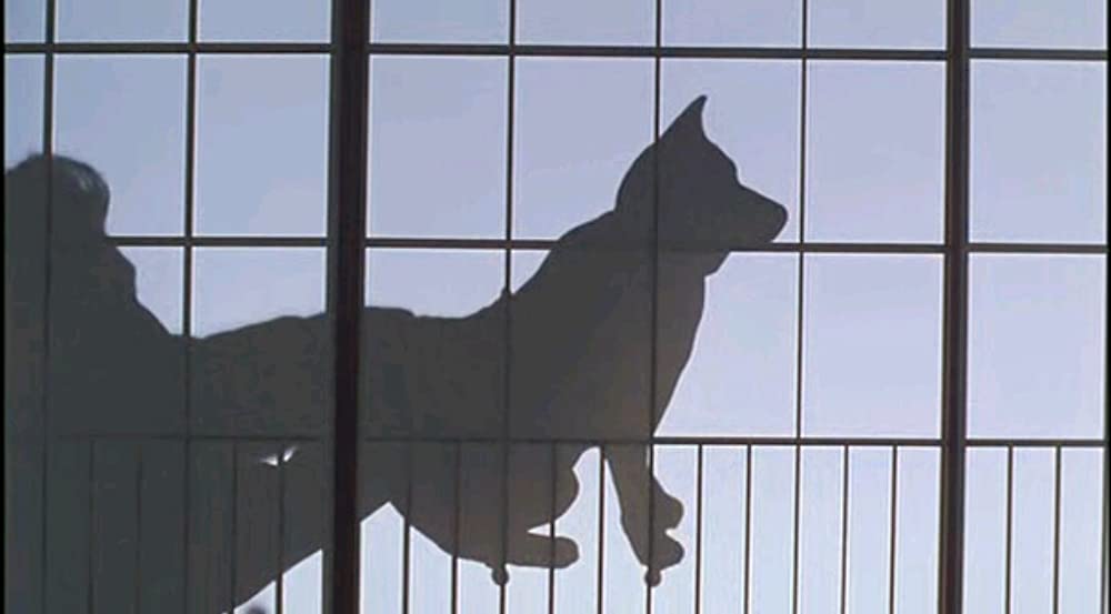 みんな〜やってるか！の画像