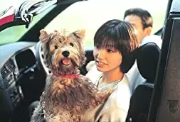 ウォーターボーイズの画像