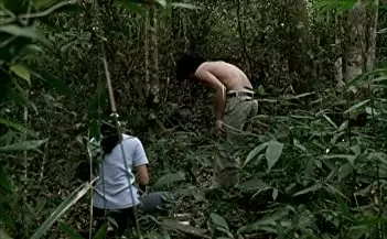 ブリスフリー・ユアーズの画像