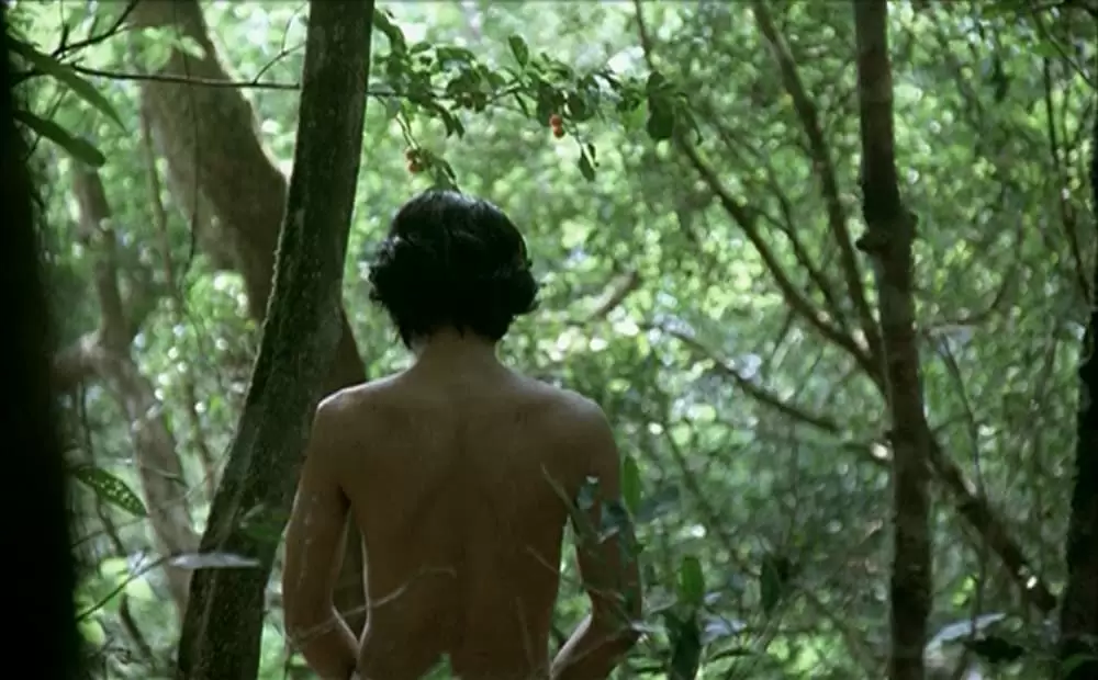 ブリスフリー・ユアーズの画像