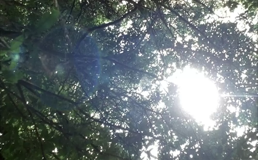 ブリスフリー・ユアーズの画像