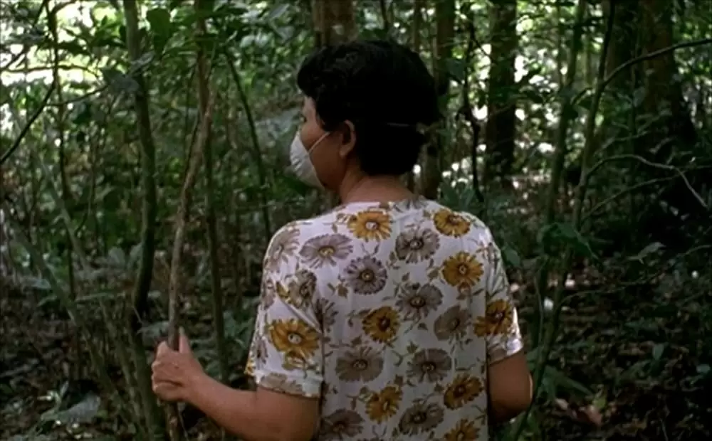 ブリスフリー・ユアーズの画像