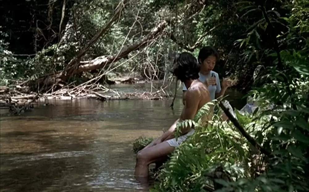 ブリスフリー・ユアーズの画像