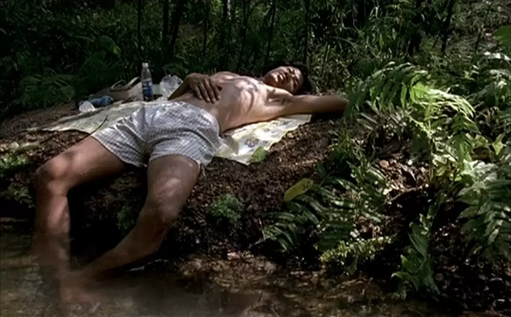 ブリスフリー・ユアーズの画像