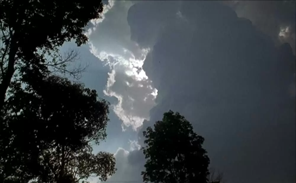 ブリスフリー・ユアーズの画像