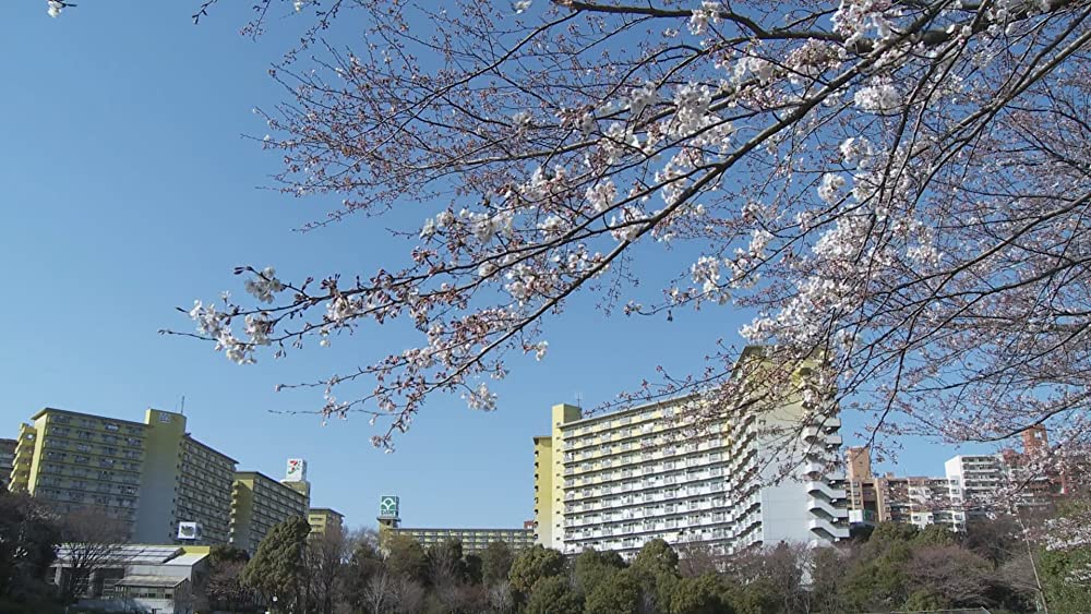 ヘヴンズ ストーリーの画像