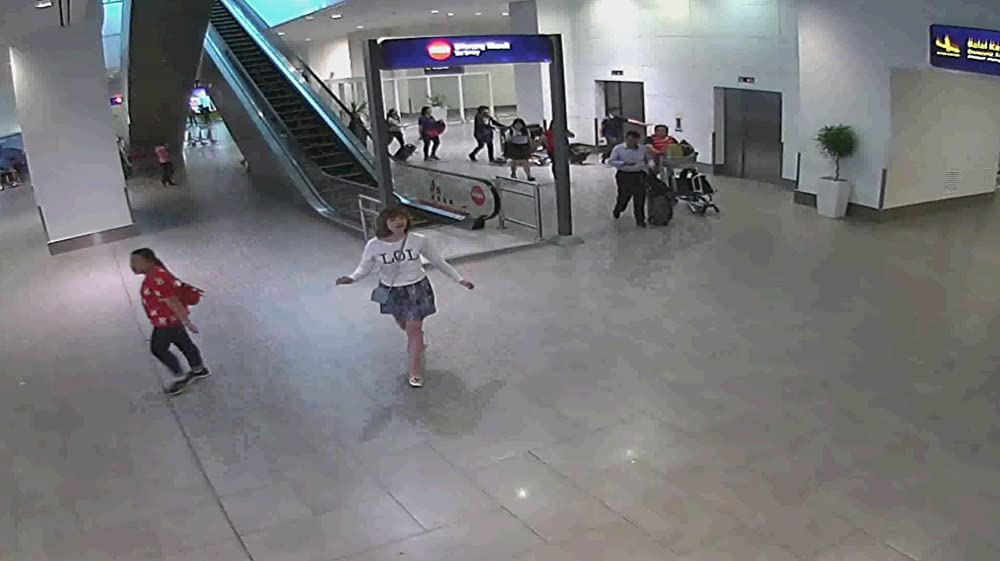 わたしは金正男を殺してないの画像