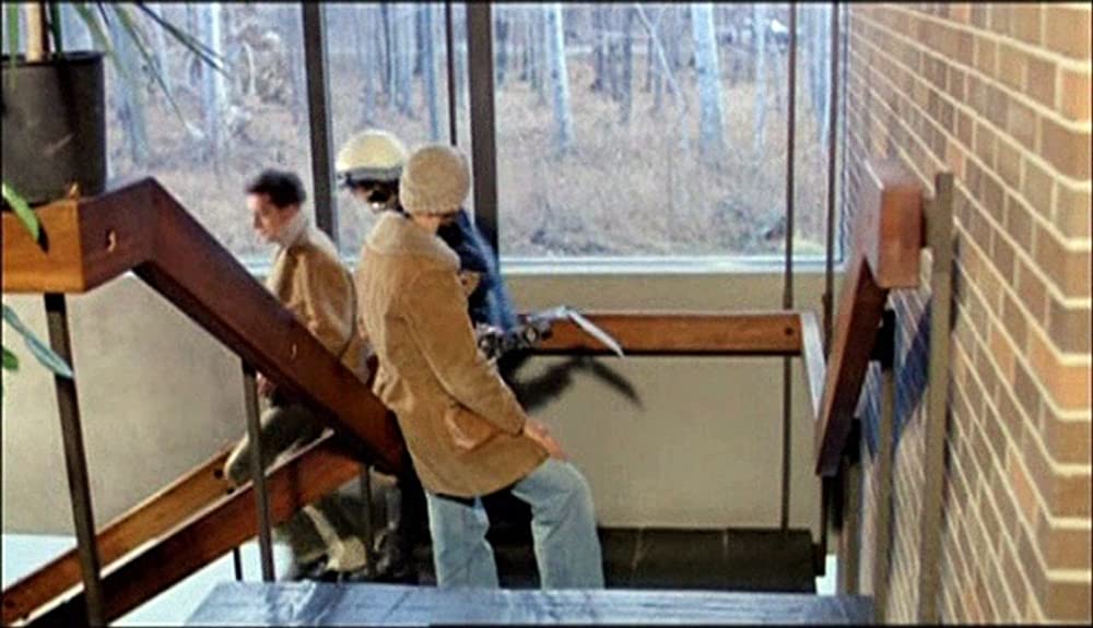 ラビッドの画像