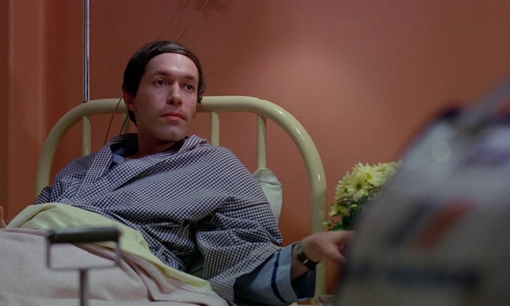 ラビッドの画像