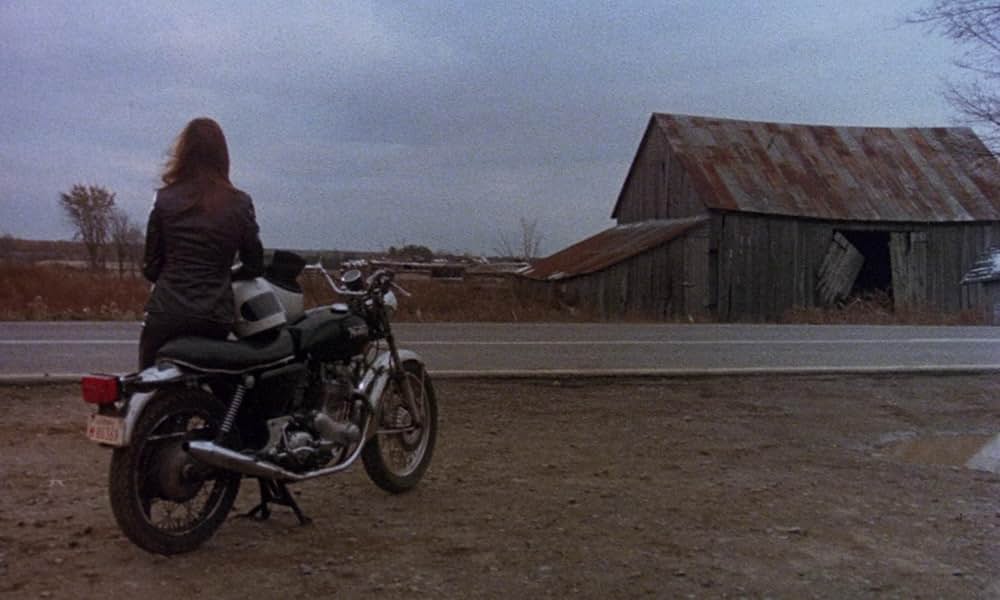 ラビッドの画像