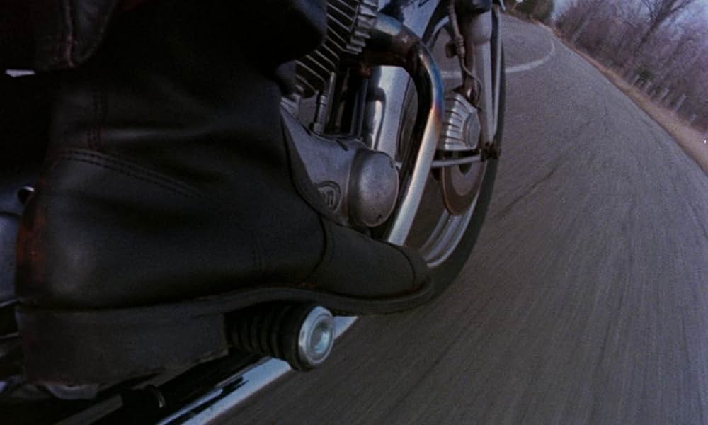 ラビッドの画像