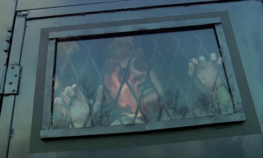 ラビッドの画像