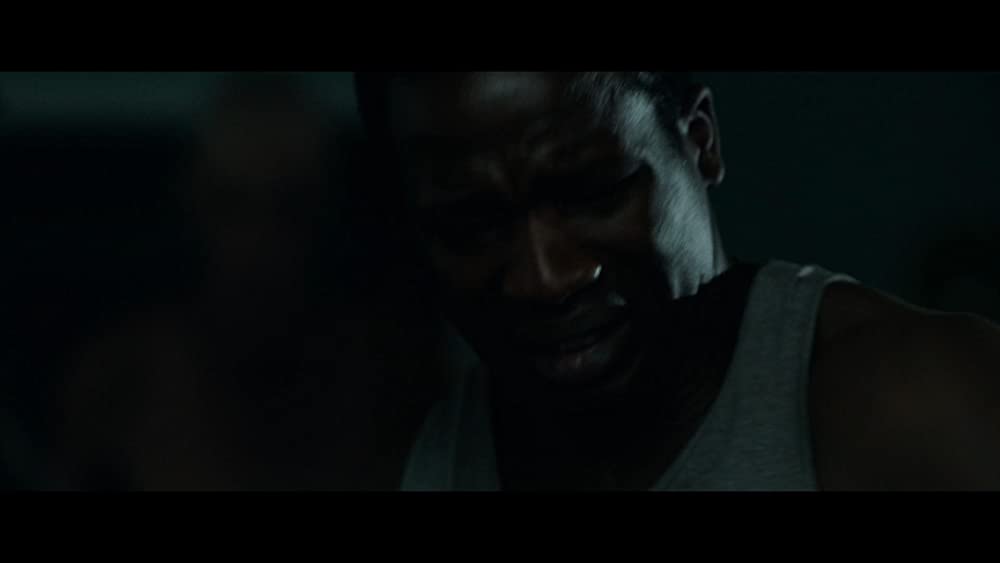 獣の棲む家の画像