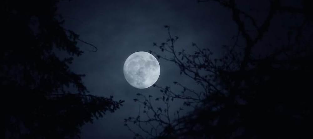 シークレット・ウォー ナチス極秘計画の画像