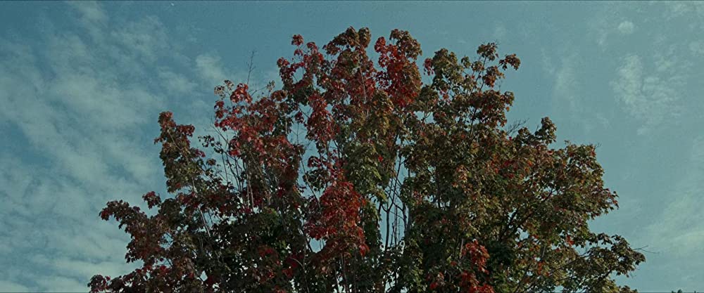 サウンド・オブ・メタル ~聞こえるということ~の画像