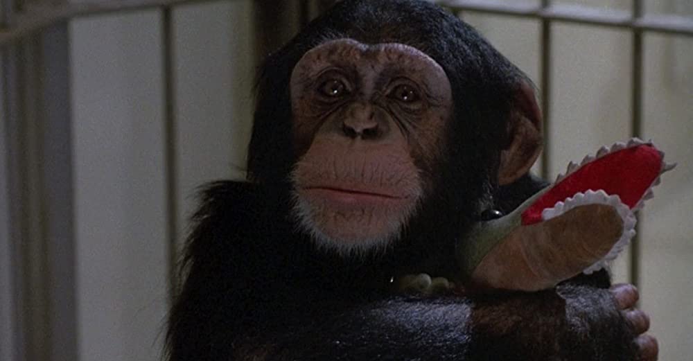 飛べ、バージル／プロジェクトXの画像