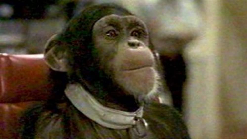 飛べ、バージル／プロジェクトXの画像