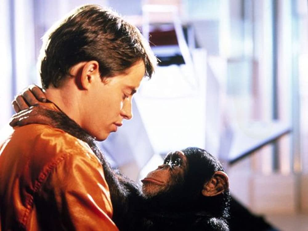 「飛べ、バージル／プロジェクトX」マシュー・ブロデリック & ウィリー・エイムスの画像