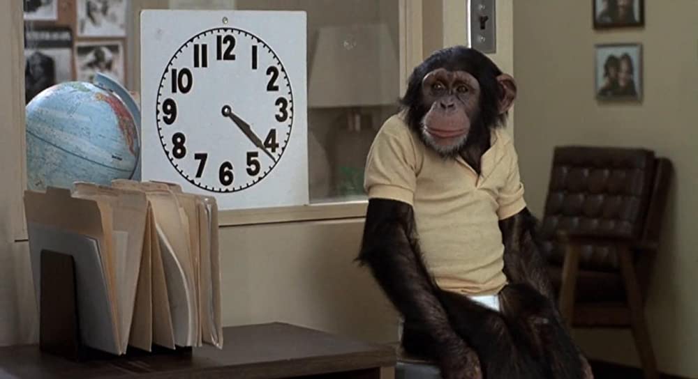 飛べ、バージル／プロジェクトXの画像