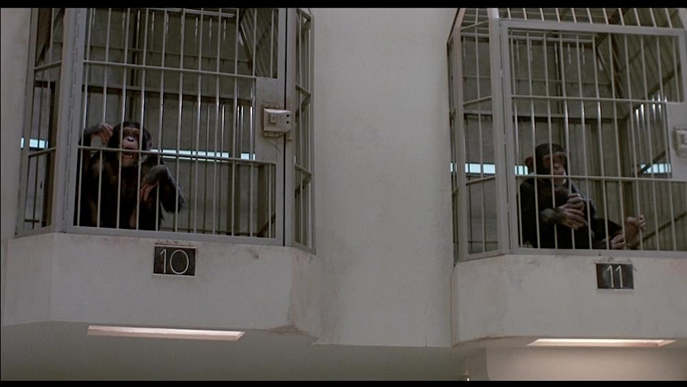 飛べ、バージル／プロジェクトXの画像