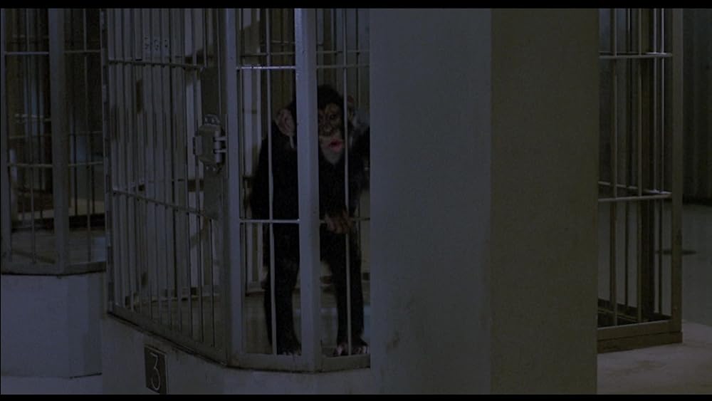 飛べ、バージル／プロジェクトXの画像