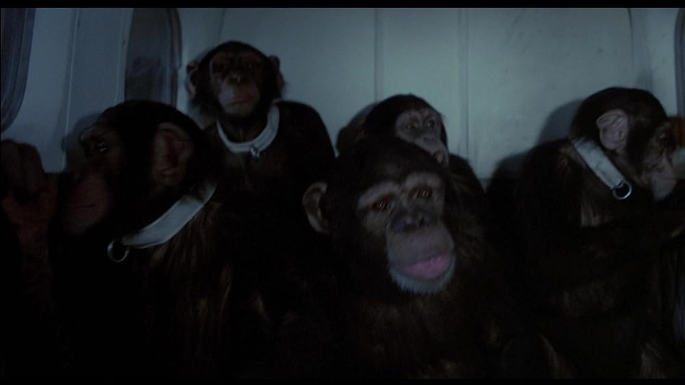 飛べ、バージル／プロジェクトXの画像