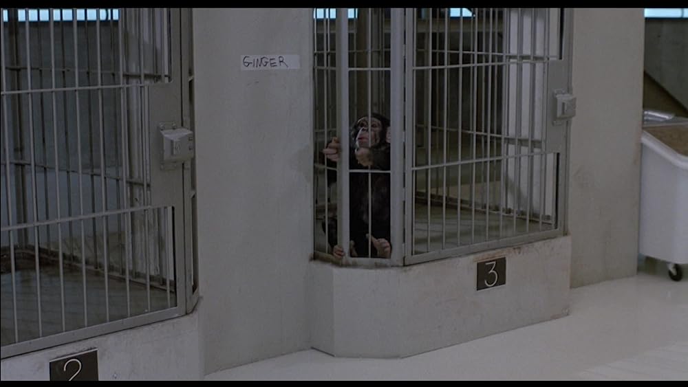 飛べ、バージル／プロジェクトXの画像