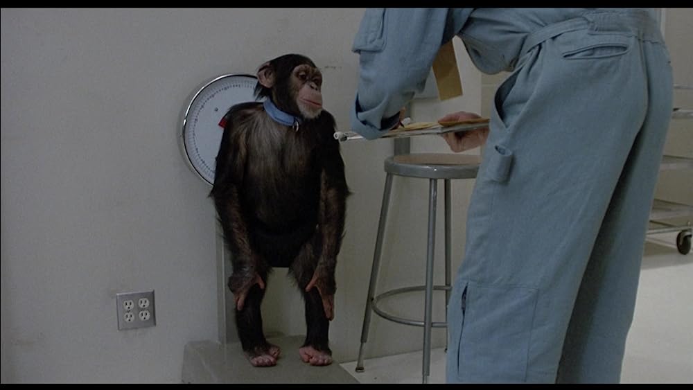 飛べ、バージル／プロジェクトXの画像