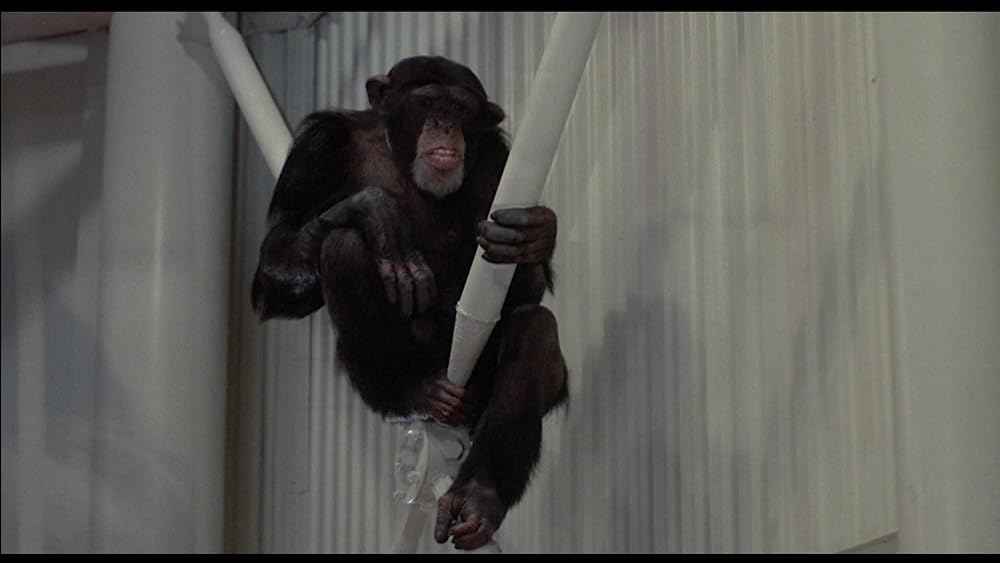 飛べ、バージル／プロジェクトXの画像