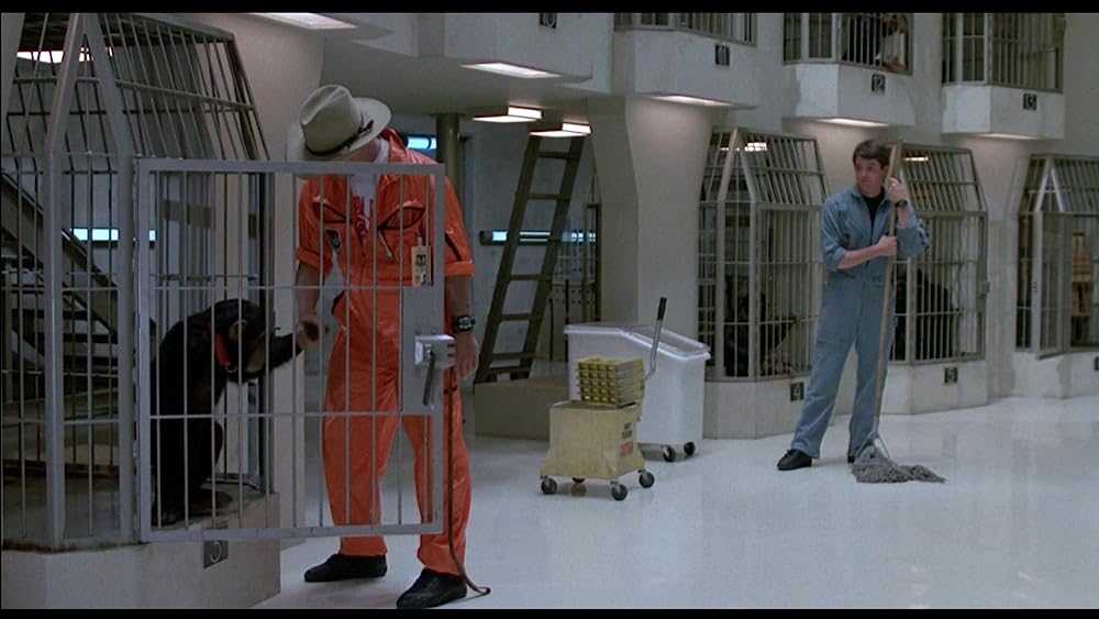 飛べ、バージル／プロジェクトXの画像