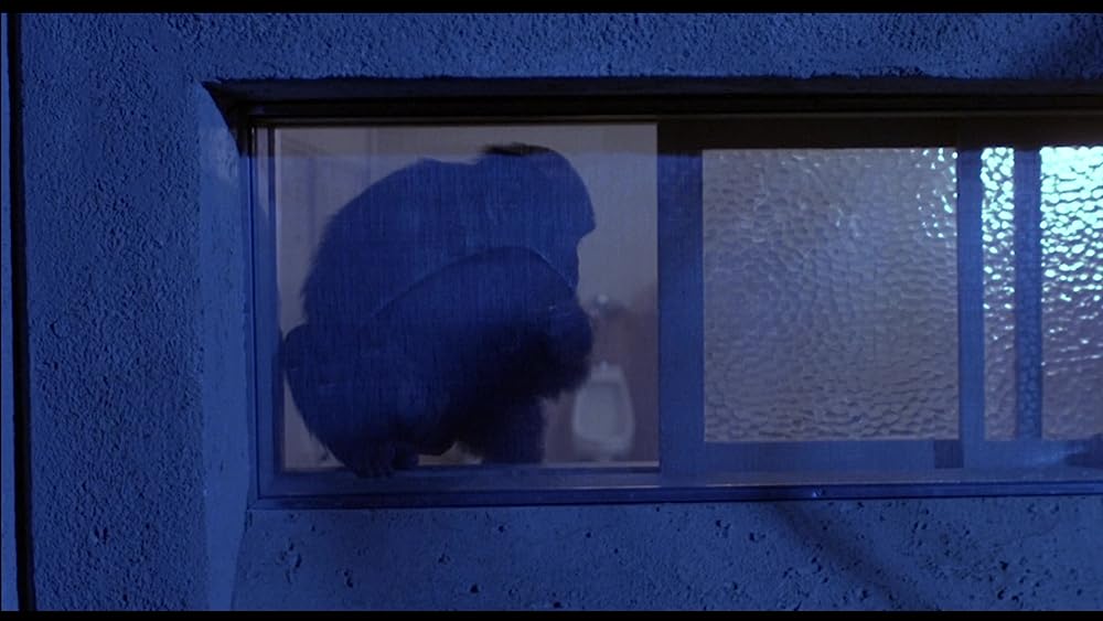 飛べ、バージル／プロジェクトXの画像