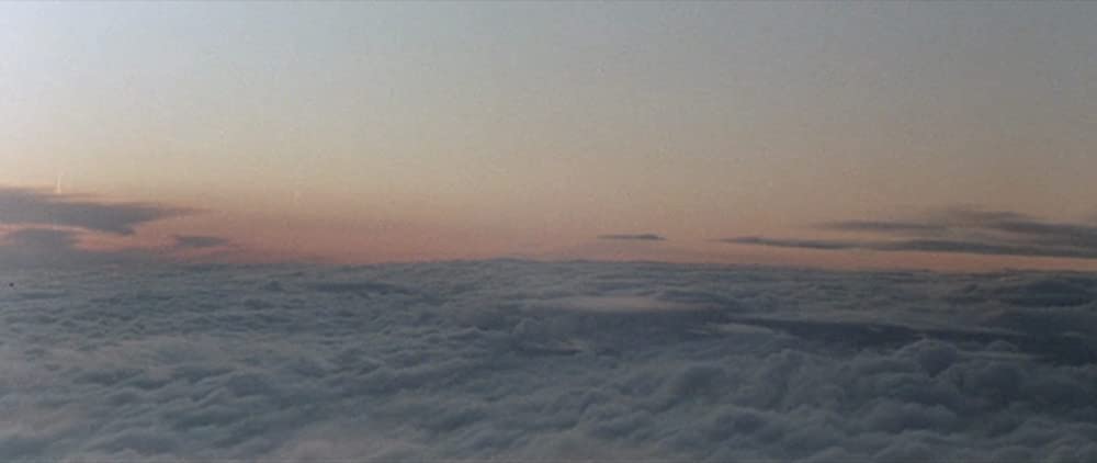 バード★シットの画像