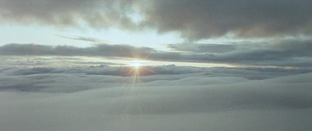 バード★シットの画像