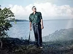 過去のない男の画像