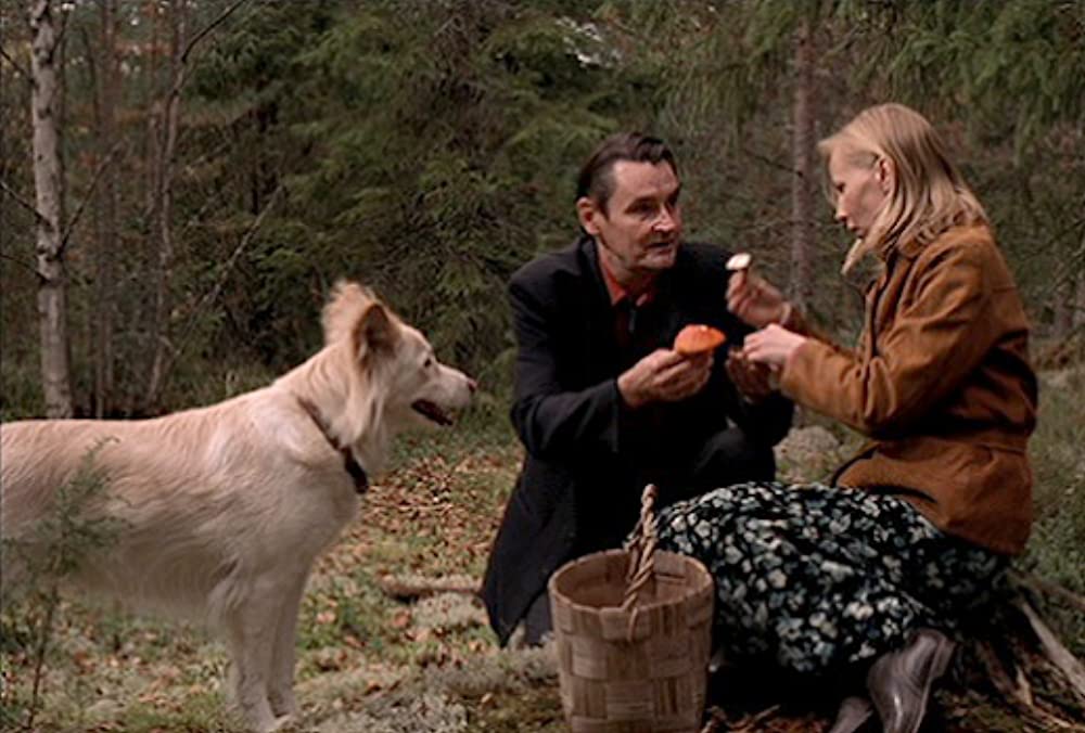 過去のない男の画像