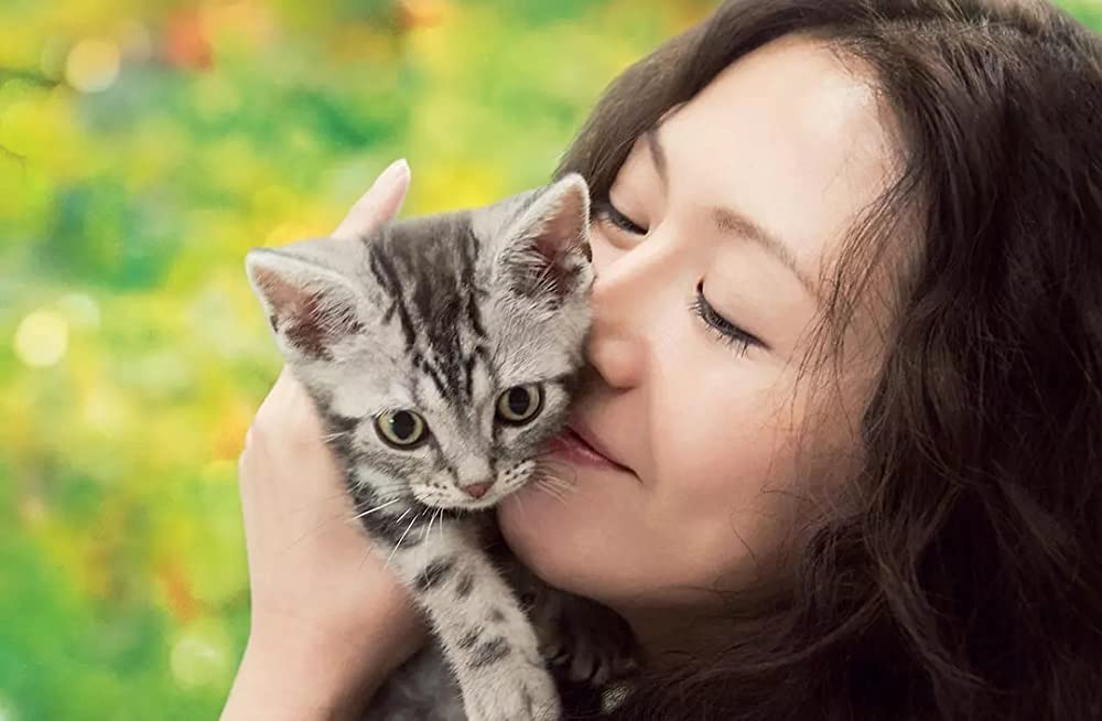 「グーグーだって猫である」の画像