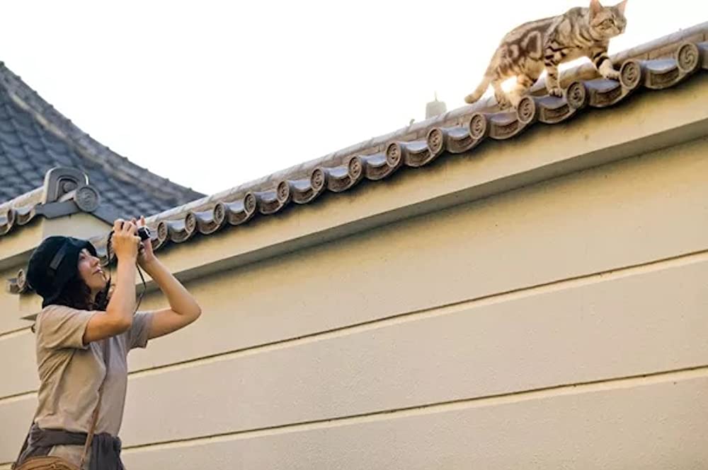 グーグーだって猫であるの画像