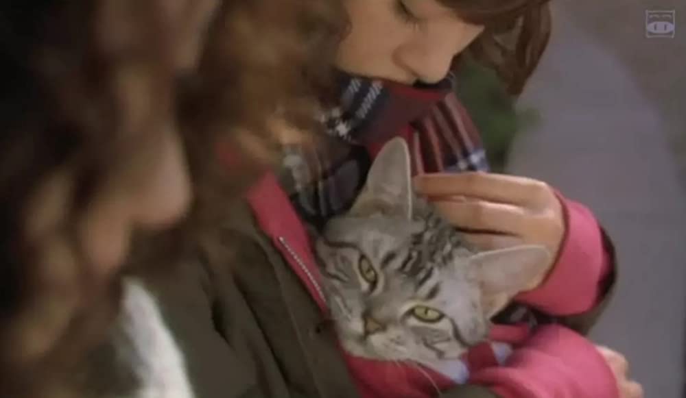 グーグーだって猫であるの画像