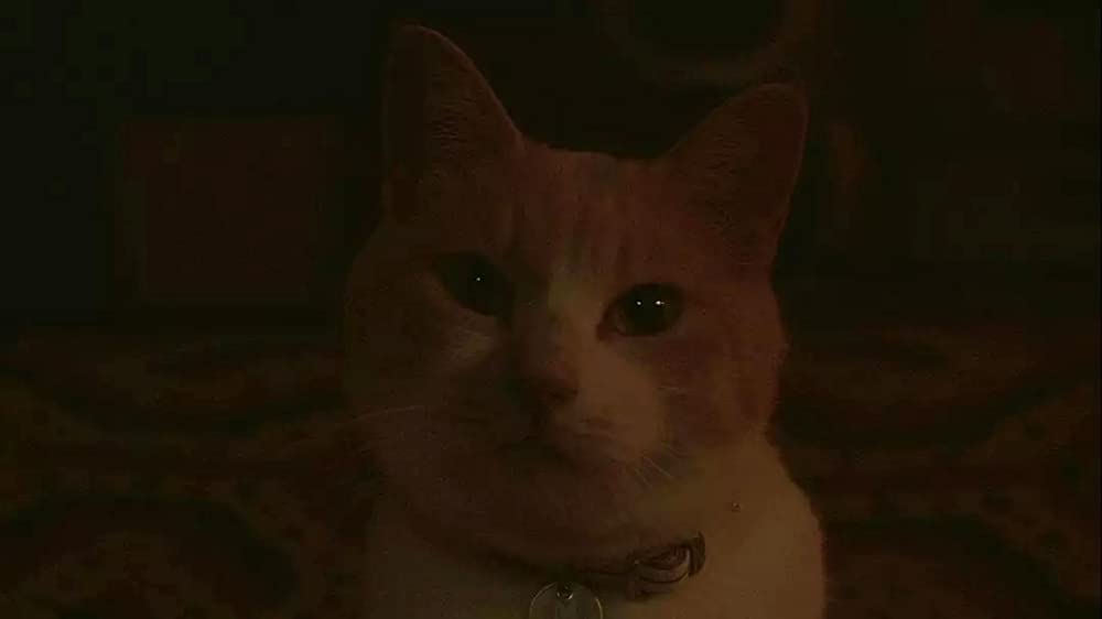 グーグーだって猫であるの画像