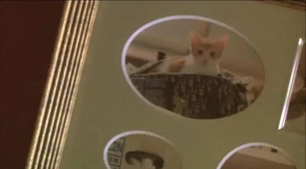 グーグーだって猫であるの画像