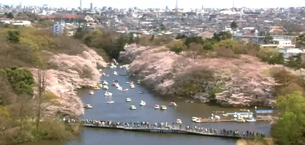 グーグーだって猫であるの画像