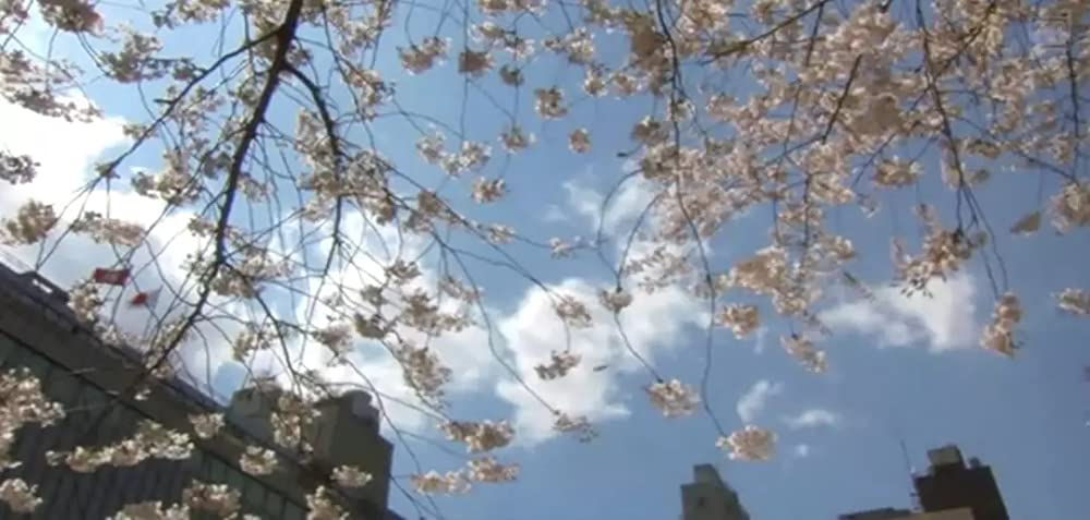 グーグーだって猫であるの画像