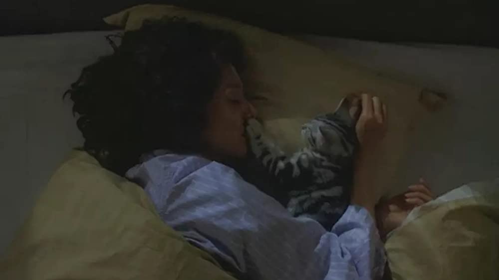 グーグーだって猫であるの画像