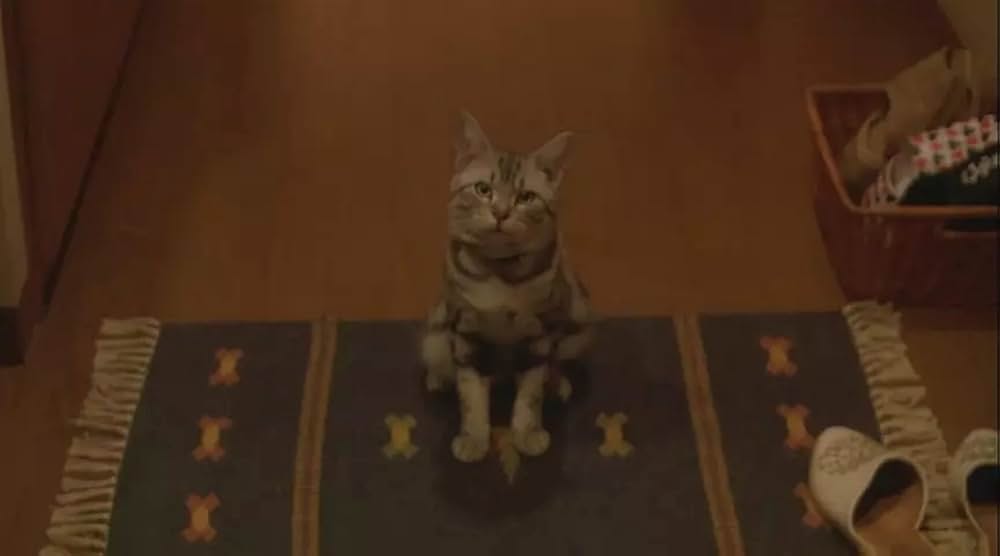 「グーグーだって猫である」の画像