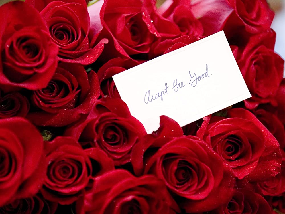 悲しみが乾くまでの画像