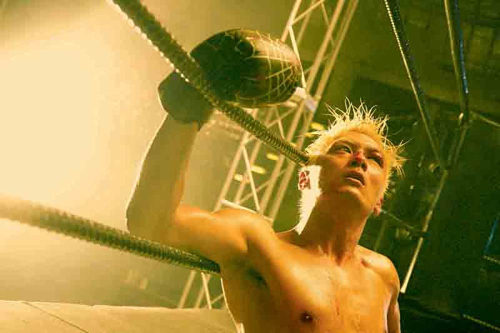 軍鶏 Shamoの画像