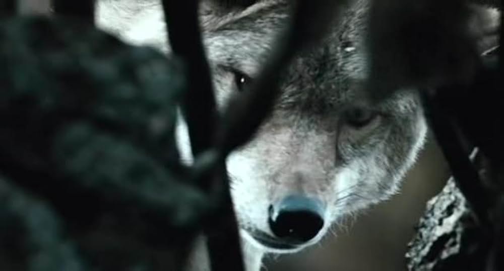 モンゴルの画像