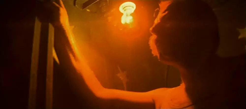 「アレックス」の画像